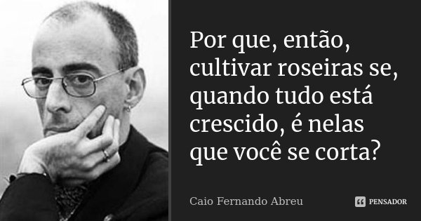 Por que, então, cultivar roseiras se, quando tudo está crescido, é nelas que você se corta?... Frase de Caio Fernando Abreu.