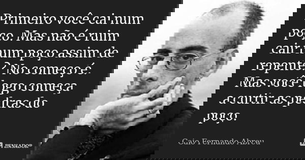 Primeiro você cai num poço. Mas não é ruim cair num poço assim de repente? No começo é. Mas você logo começa a curtir as pedras do poço.... Frase de Caio Fernando Abreu.