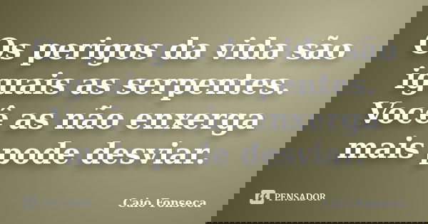Os perigos da vida são iguais as serpentes. Você as não enxerga mais pode desviar.... Frase de Caio Fonseca.
