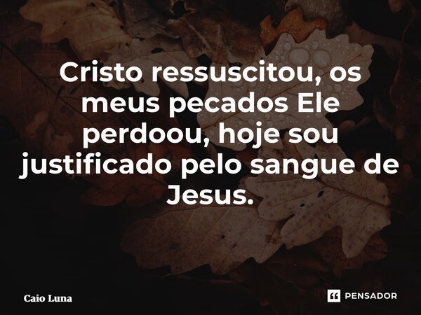 Cristo ressuscitou, os meus pecados Ele perdoou, hoje sou justificado pelo sangue de Jesus. ⁠... Frase de Caio Luna.