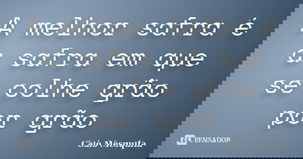 A melhor safra é a safra em que se colhe grão por grão... Frase de Caio Mesquita.