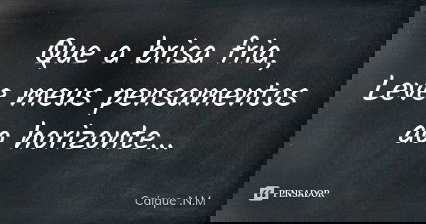 Que a brisa fria, Leve meus pensamentos ao horizonte...... Frase de Caique .N.M.
