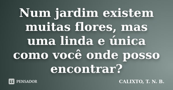 Num jardim existem muitas flores, mas uma linda e única como você onde posso encontrar?... Frase de CALIXTO, T. N. B..