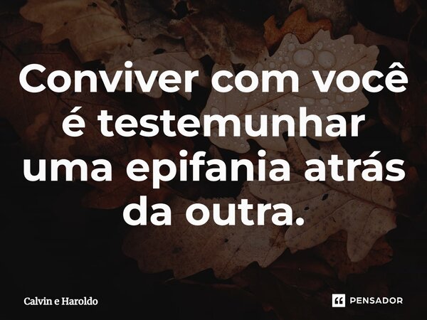 ⁠Conviver com você é testemunhar uma epifania atrás da outra.... Frase de Calvin e Haroldo.