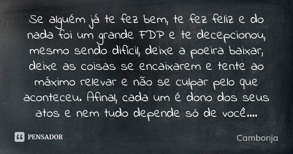 Se alguém já te fez bem, te fez feliz e do nada foi um grande FDP e te decepcionou, mesmo sendo difícil, deixe a poeira baixar, deixe as coisas se encaixarem e ... Frase de Cambonja.