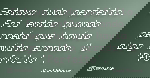 Estava tudo perfeito. Foi então quando percebi que havia algo muito errado. O 'Perfeito'.... Frase de Cami Moraes.