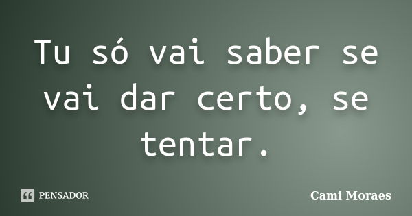 Tu só vai saber se vai dar certo, se tentar.... Frase de Cami Moraes.