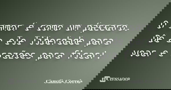 O amor é como um pássaro. Dê a ele liberdade para voar e razões para ficar!... Frase de Camila Corrêa.