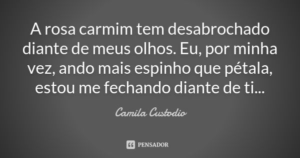 A rosa carmim tem desabrochado diante de meus olhos. Eu, por minha vez, ando mais espinho que pétala, estou me fechando diante de ti...... Frase de Camila Custodio.