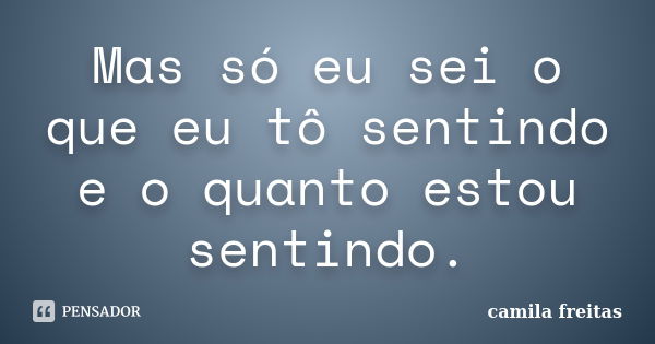 Mas só eu sei o que eu tô sentindo e o quanto estou sentindo.... Frase de Camila Freitas.