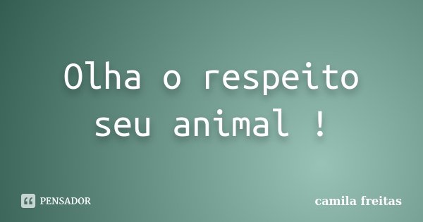 Olha o respeito seu animal !... Frase de Camila Freitas.