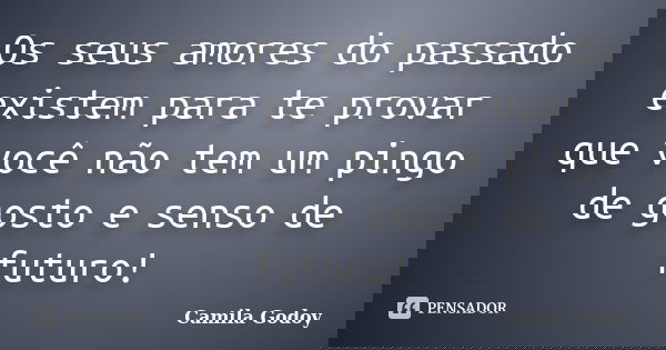 Os seus amores do passado existem para te provar que você não tem um pingo de gosto e senso de futuro!... Frase de Camila Godoy.