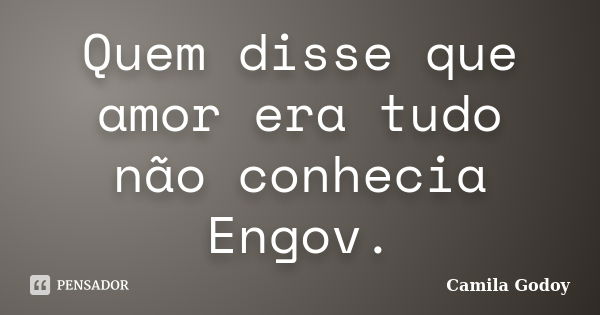 Quem disse que amor era tudo não conhecia Engov.... Frase de Camila Godoy.