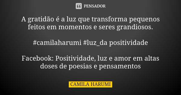 A gratidão é a luz que transforma pequenos feitos em momentos e seres grandiosos. #camilaharumi #luz_da positividade Facebook: Positividade, luz e amor em altas... Frase de ________Camila Harumi.