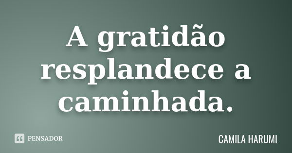 A gratidão resplandece a caminhada.... Frase de CAMILA HARUMI.