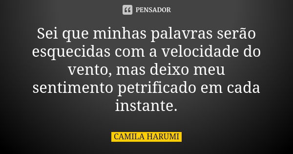 Sei que minhas palavras serão esquecidas com a velocidade do vento, mas deixo meu sentimento petrificado em cada instante.... Frase de CAMILA HARUMI.