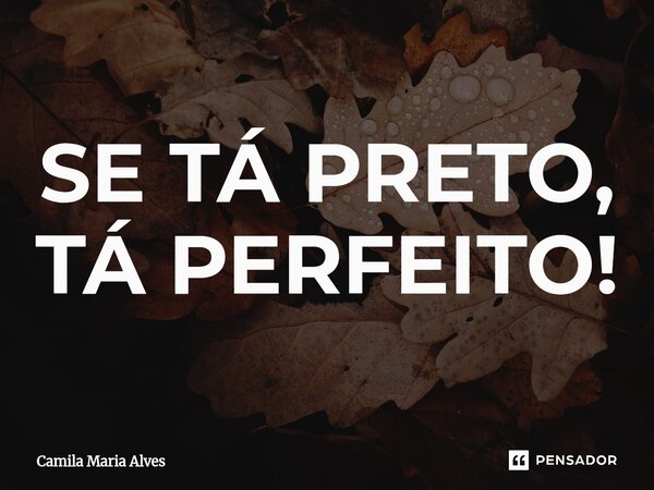 ⁠SE TÁ PRETO, TÁ PERFEITO!... Frase de Camila Maria Alves.