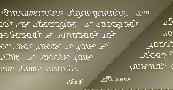 Pensamentos bagunçados, um frio na barriga, o coração acelerado a vontade de gritar não para o que é isso? Sim, a raiva que quando vem toma conta.... Frase de Camila.