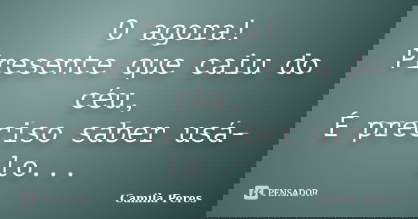 O agora! Presente que caiu do céu, É preciso saber usá-lo...... Frase de Camila Peres.