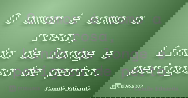 O amor é como a rosa, Linda de longe e perigosa de perto.... Frase de Camile Eduarda.