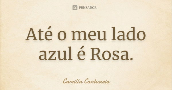 Até o meu lado azul é Rosa.... Frase de Camilla Cantuario.