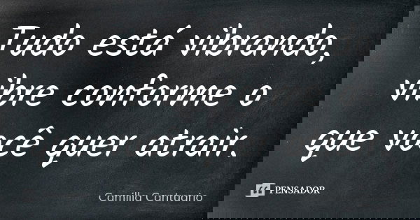 Tudo está vibrando, vibre conforme o que você quer atrair.... Frase de Camilla Cantuario.
