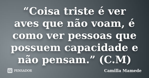 “Coisa triste é ver aves que não voam, é como ver pessoas que possuem capacidade e não pensam.” (C.M)... Frase de Camilla Mamede.