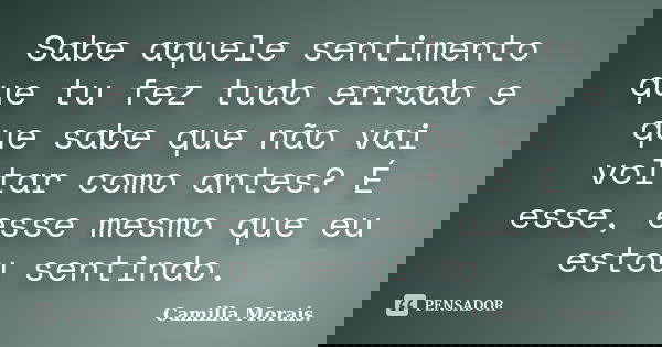 Sabe aquele sentimento que tu fez tudo errado e que sabe que não vai voltar como antes? É esse, esse mesmo que eu estou sentindo.... Frase de Camilla Morais..