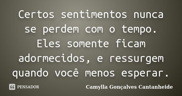 Certos sentimentos nunca se perdem com o tempo. Eles somente ficam adormecidos, e ressurgem quando você menos esperar.... Frase de Camylla Gonçalves Cantanheide.