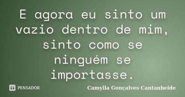 E agora eu sinto um vazio dentro de mim, sinto como se ninguém se importasse.... Frase de Camylla Gonçalves Cantanheide.