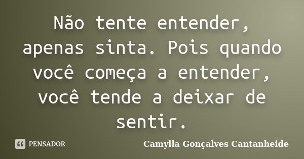 Não tente entender, apenas sinta. Pois quando você começa a entender, você tende a deixar de sentir.... Frase de Camylla Gonçalves Cantanheide.
