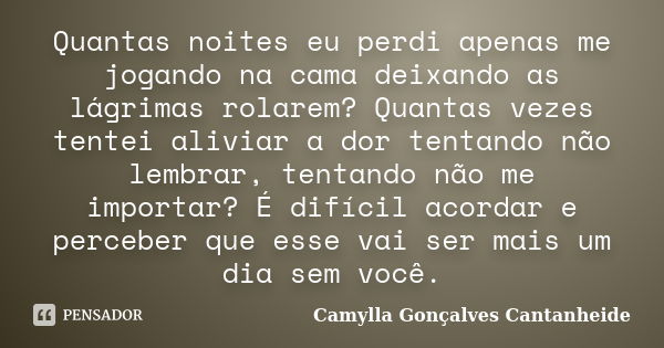 Quantas noites eu perdi apenas me jogando na cama deixando as lágrimas rolarem? Quantas vezes tentei aliviar a dor tentando não lembrar, tentando não me importa... Frase de Camylla Gonçalves Cantanheide.