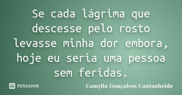 Se cada lágrima que descesse pelo rosto levasse minha dor embora, hoje eu seria uma pessoa sem feridas.... Frase de Camylla Gonçalves Cantanheide.