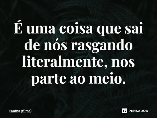 ⁠É uma coisa que sai de nós rasgando literalmente, nos parte ao meio.... Frase de Canina (filme).