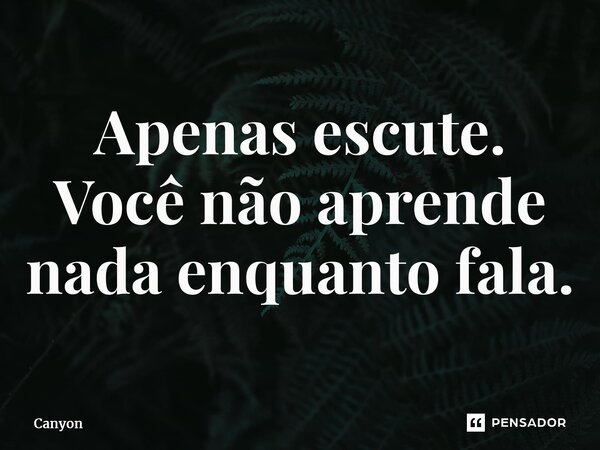 ⁠Apenas escute. Você não aprende nada enquanto fala.... Frase de Canyon.