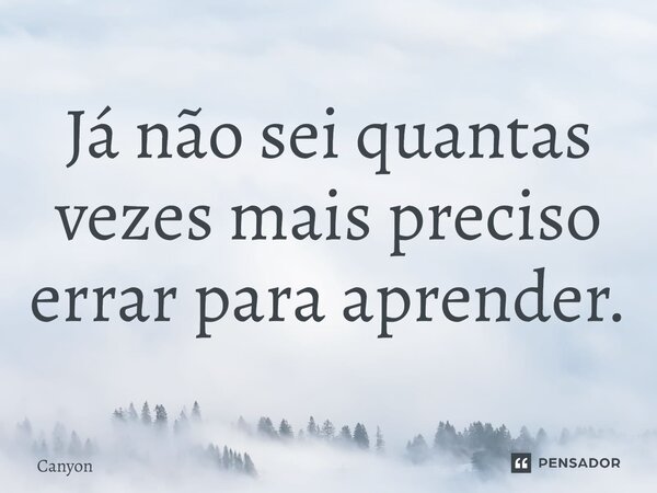 Já não sei quantas vezes mais preciso errar para aprender.... Frase de Canyon.