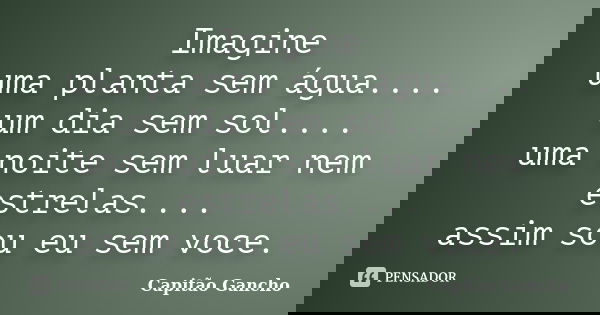 Imagine uma planta sem água.... um dia sem sol.... uma noite sem luar nem estrelas.... assim sou eu sem voce.... Frase de Capitão Gancho.