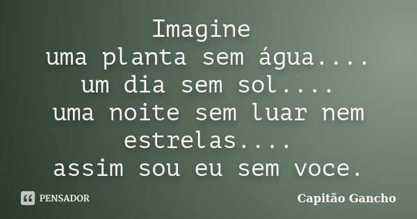 Imagine uma planta sem água.... um dia sem sol.... uma noite sem luar nem estrelas.... assim sou eu sem voce.... Frase de Capitão Gancho.