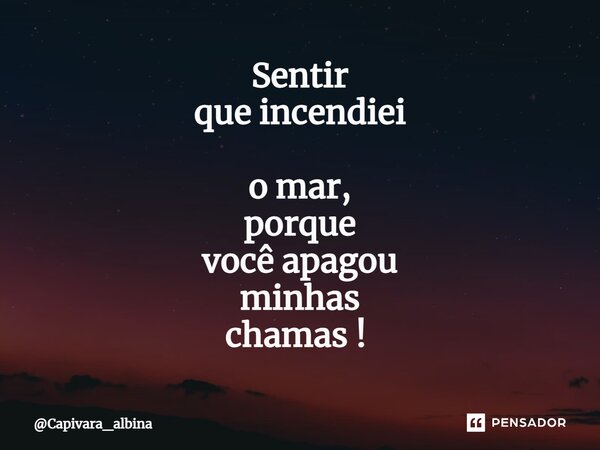 Sentir que incendiei o mar, porque você apagou minhas chamas! ⁠... Frase de Capivara_albina.