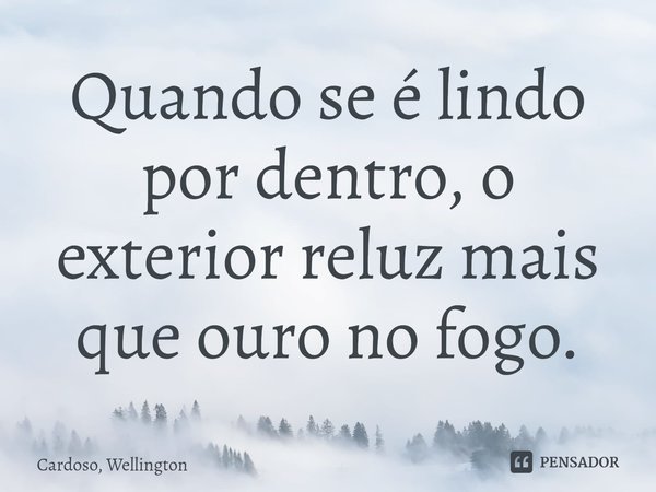 Quando se é lindo por dentro, o exterior reluz mais que ouro no fogo.⁠... Frase de Cardoso, Wellington.