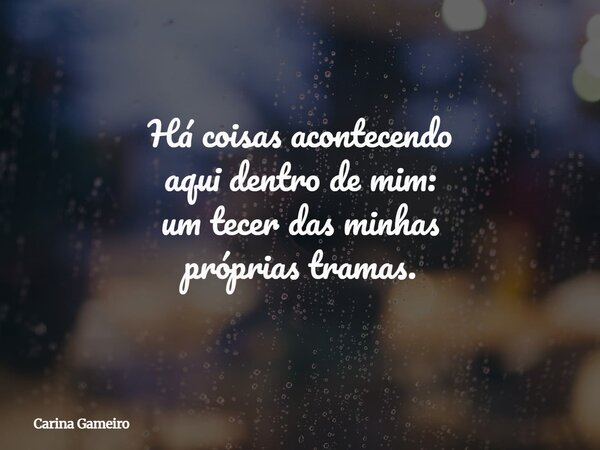 Há coisas acontecendo aqui dentro de mim: um tecer das minhas próprias tramas.... Frase de Carina Gameiro.