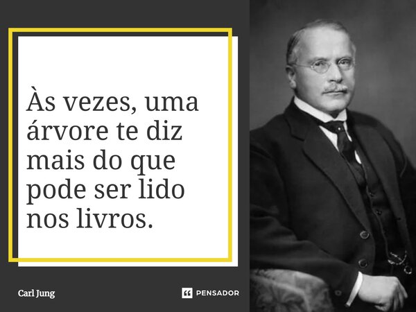 ⁠Às vezes, uma árvore te diz mais do que pode ser lido nos livros.... Frase de Carl Jung.