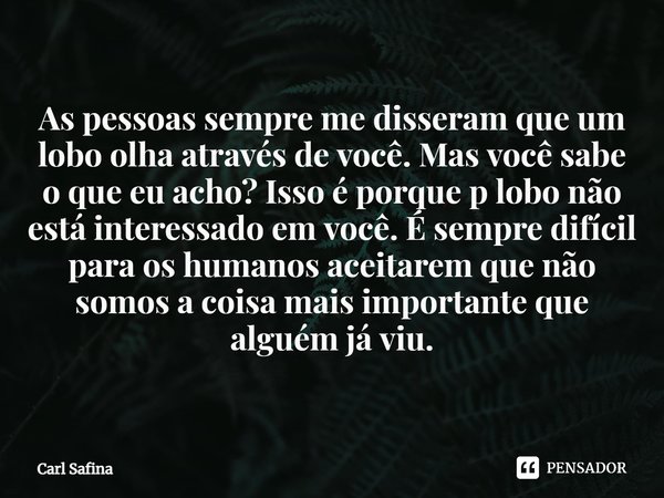 ⁠As pessoas sempre me disseram que um lobo olha através de você. Mas você sabe o que eu acho? Isso é porque p lobo não está interessado em você. É sempre difíci... Frase de Carl Safina.