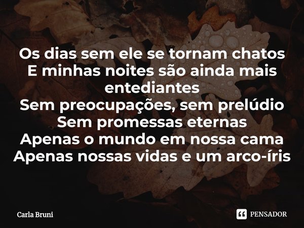 ⁠Os dias sem ele se tornam chatos
E minhas noites são ainda mais entediantes
Sem preocupações, sem prelúdio
Sem promessas eternas
Apenas o mundo em nossa cama
A... Frase de Carla Bruni.
