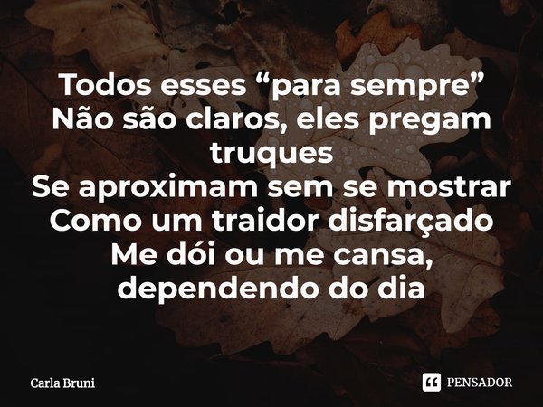 ⁠Todos esses “para sempre”
Não são claros, eles pregam truques
Se aproximam sem se mostrar
Como um traidor disfarçado
Me dói ou me cansa, dependendo do dia... Frase de Carla Bruni.