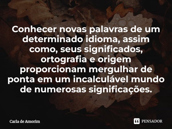 ⁠Conhecer novas palavras de um determinado idioma, assim como, seus significados, ortografia e origem proporcionam mergulhar de ponta em um incalculável mundo d... Frase de Carla de Amorim.