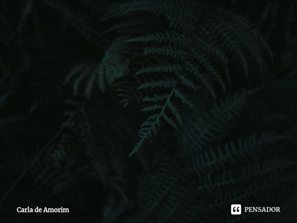 ⁠O autoencontro e a forma mais profunda e mais eficaz de nós conhecermos verdadeiramente.... Frase de Carla de Amorim.