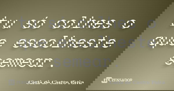 tu só colhes o que escolheste semear.... Frase de Carla de Castro Paiva.