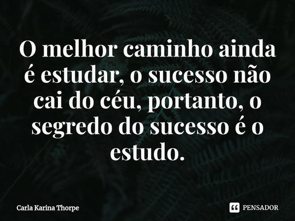 ⁠O melhor caminho ainda é estudar, o sucesso não cai do céu, portanto, o segredo do sucesso é o estudo.... Frase de Carla Karina Thorpe.