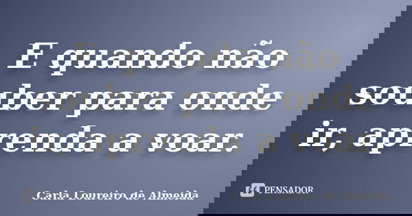 E quando não souber para onde ir, aprenda a voar.... Frase de Carla Loureiro de Almeida.